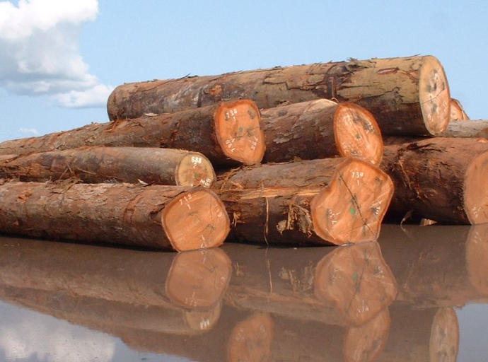 Transactions de bois...